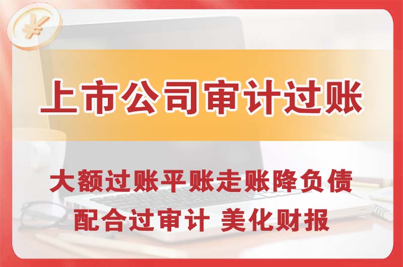 武穴上市公司审计过账